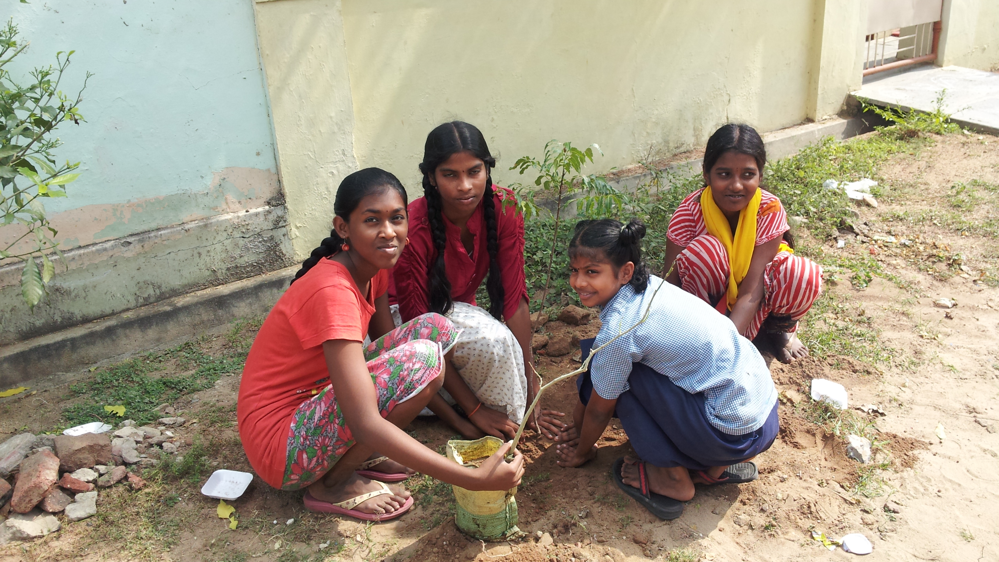 Children planting a sapling by the roadside